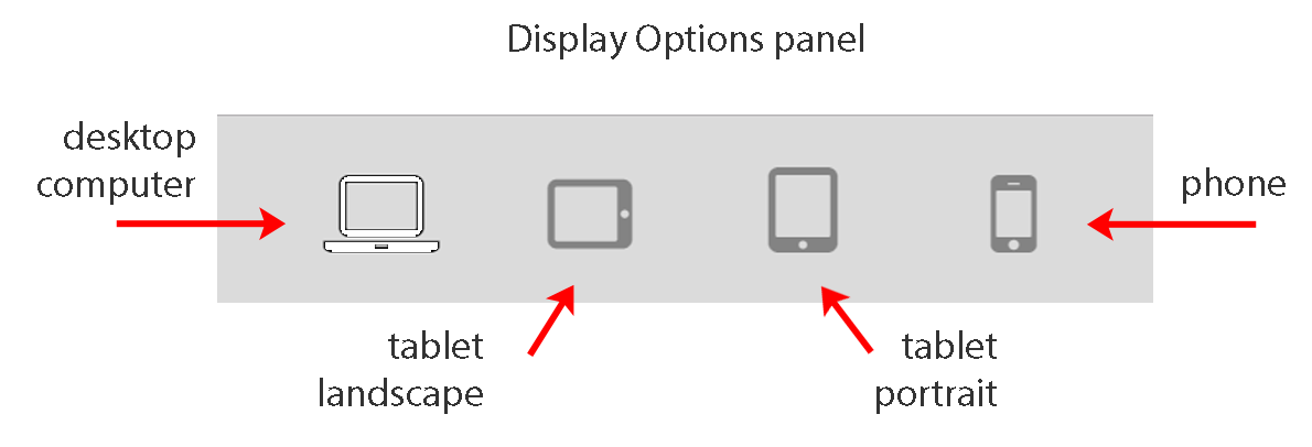 display-options-4a.png